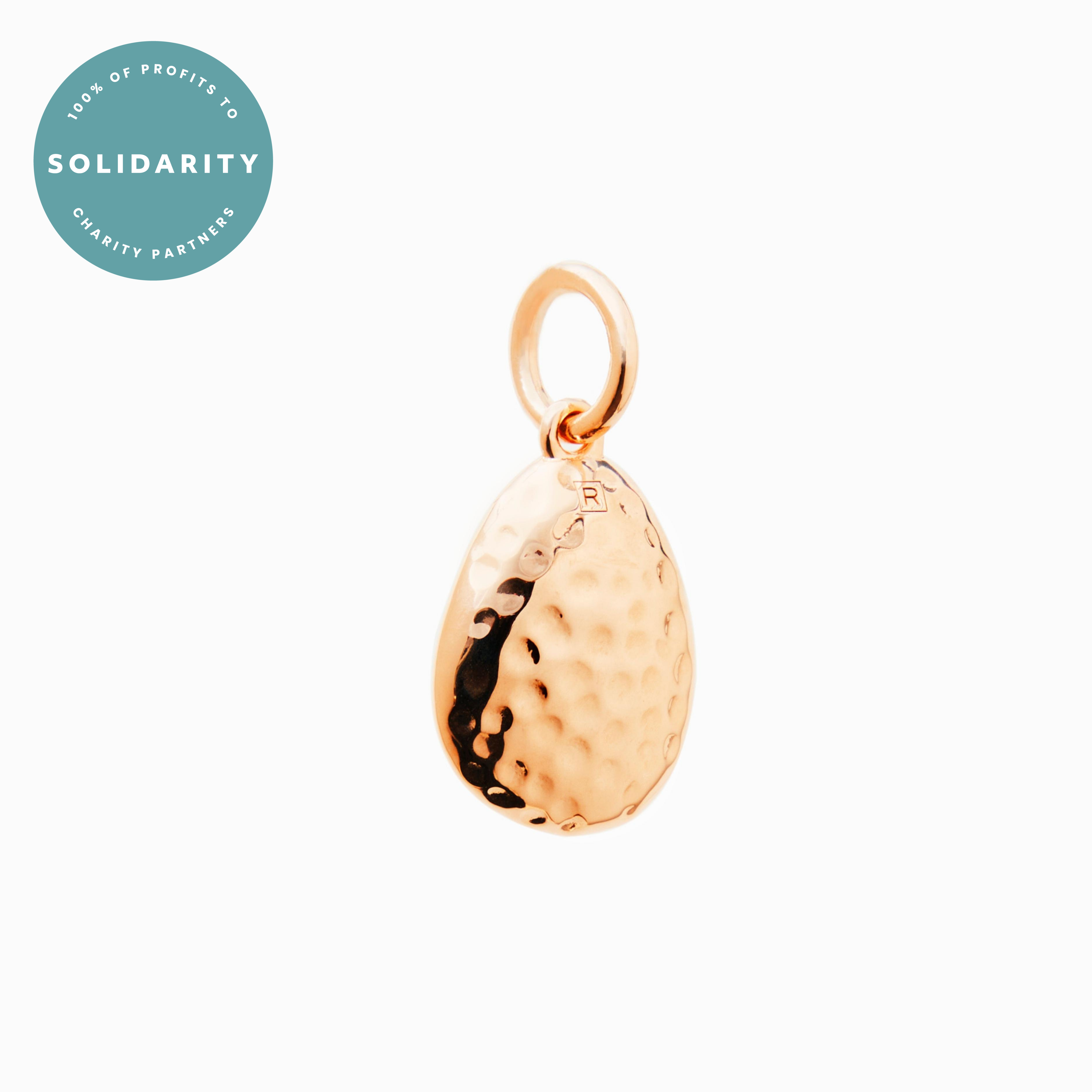 Gold Hammered Pebble Popon Recognised