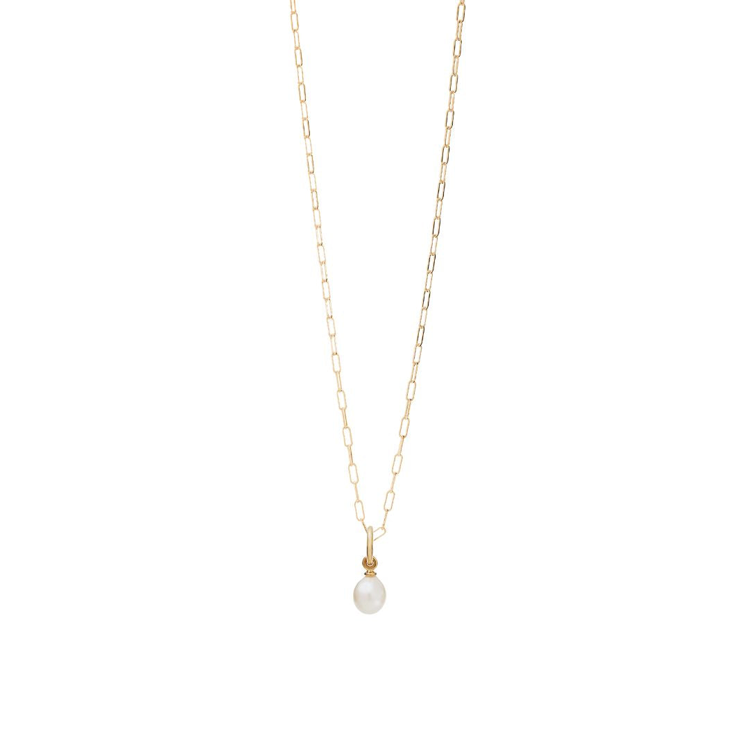 Recognised Freedom Pearl Popon Pendant and Gold Paperclip Chain Necklace Recognised