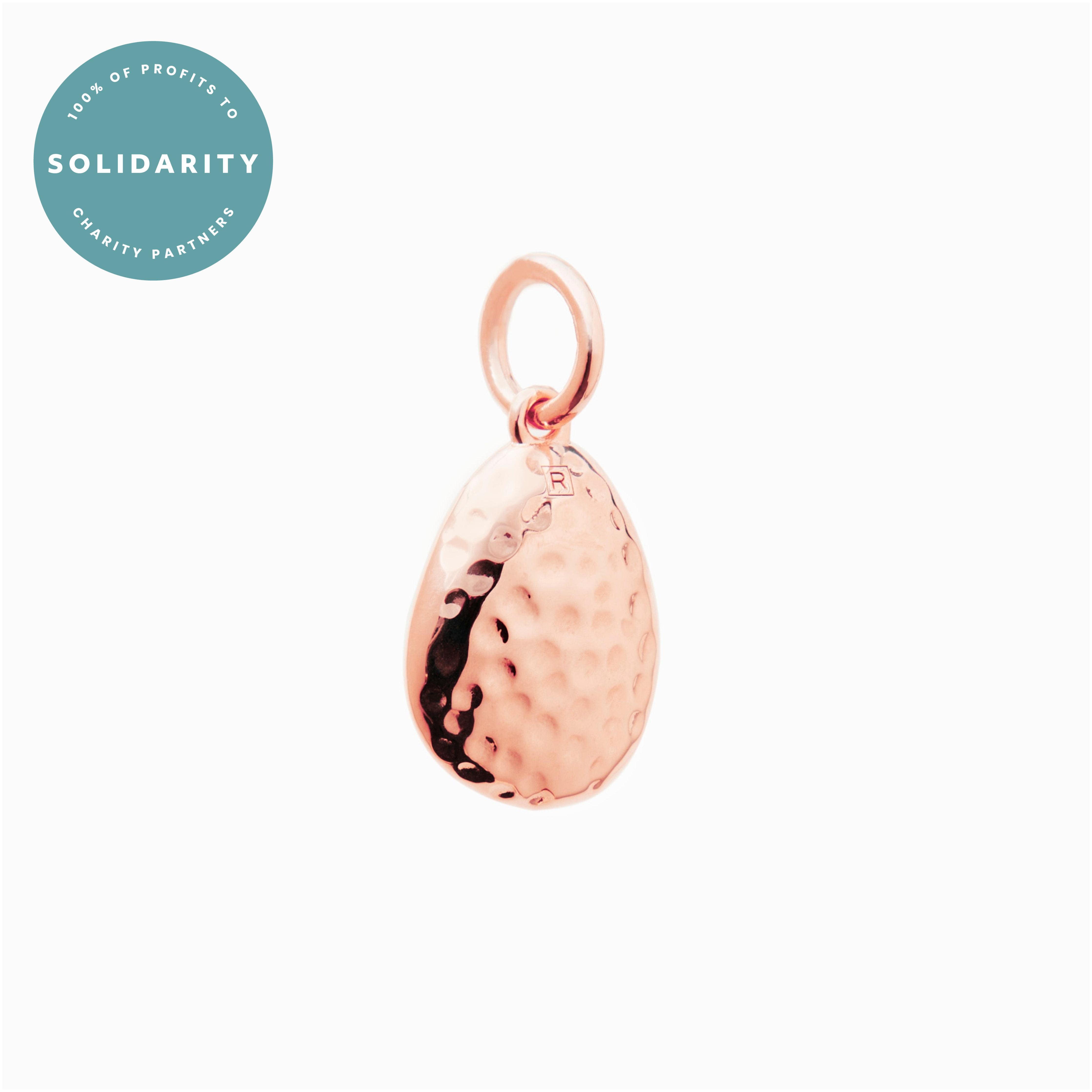 Rose Gold Hammered Pebble Popon Recognised