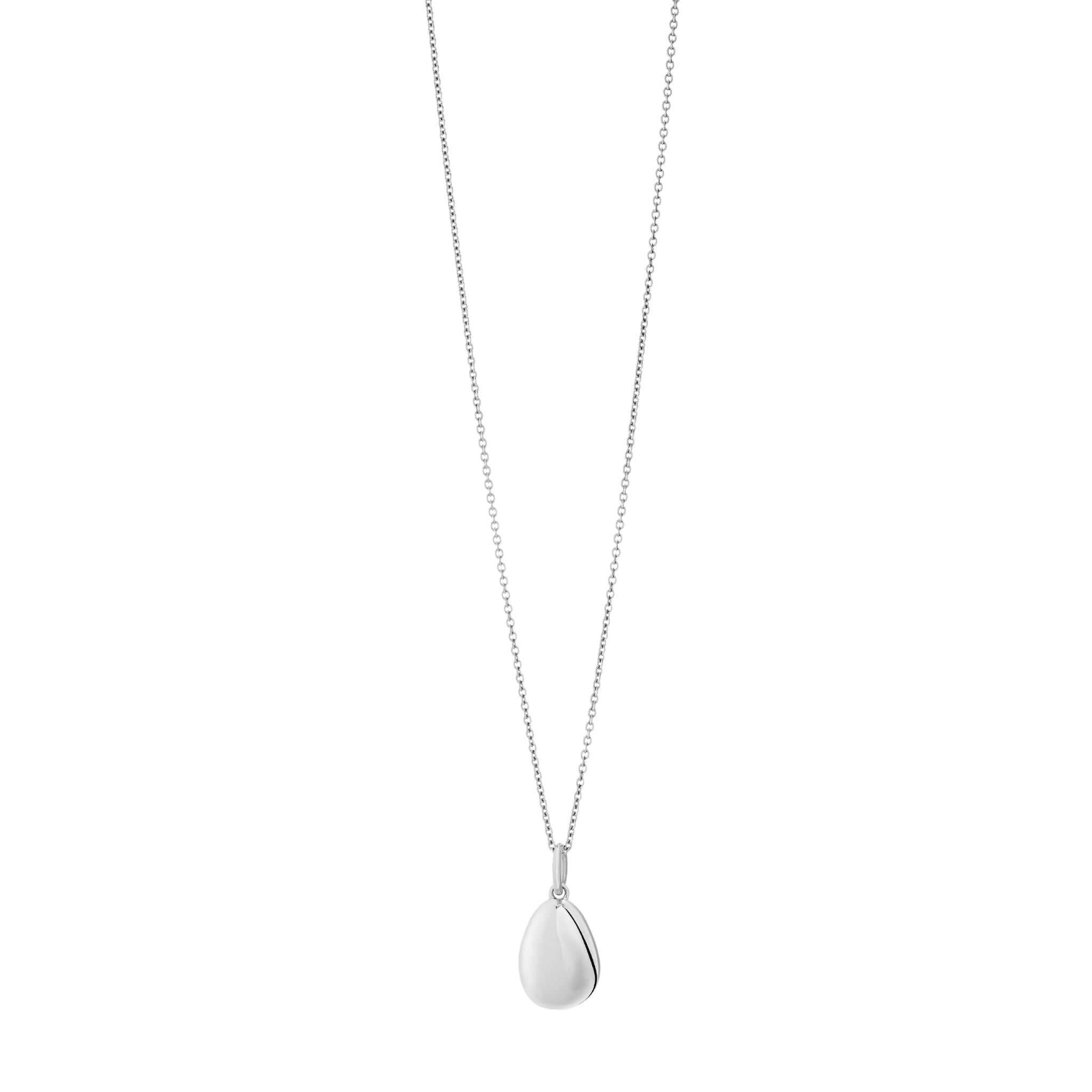 Sterling Silver Fine Chain Necklace Recognised